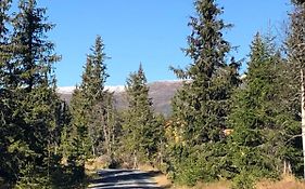 Sykkelhytte Ved Slatten I Synnfjellet
